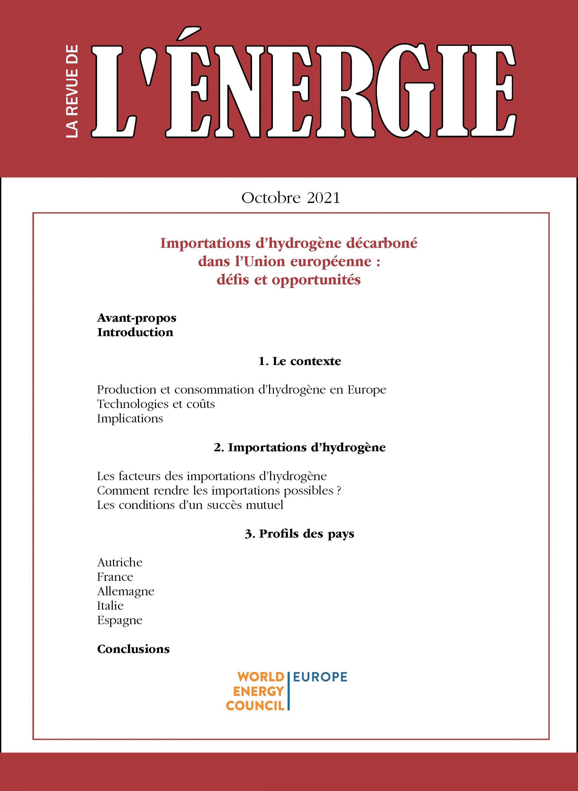 Lire la suite à propos de l’article Importations d’hydrogène décarboné dans l’Union européenne : défis et opportunités