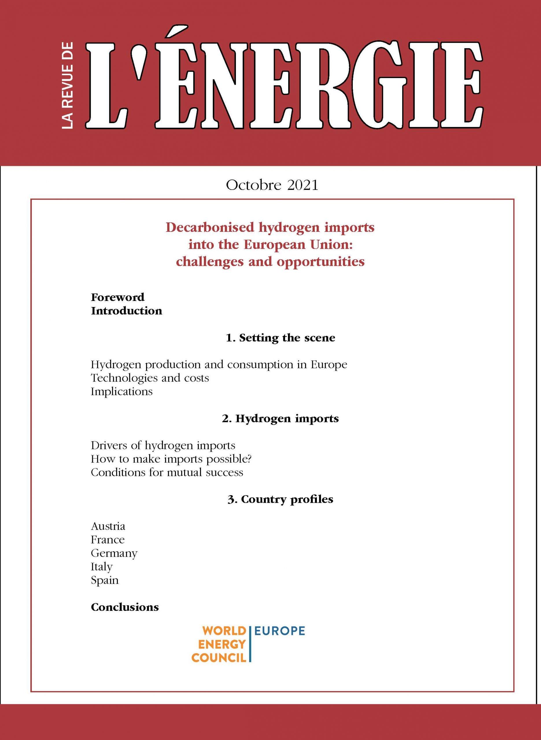 Lire la suite à propos de l’article Les importations d’hydrogène décarboné dans l’Union européenne : défis et opportunités