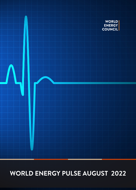 Lire la suite à propos de l’article World Energy Pulse : Les transitions dans la tourmente