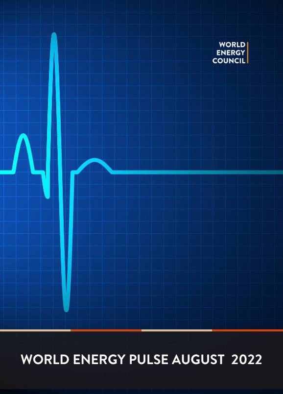 Lire la suite à propos de l’article World Energy Pulse : Les transitions dans la tourmente