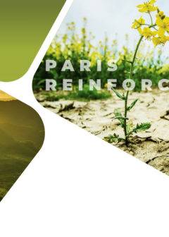 Paris Reinforce