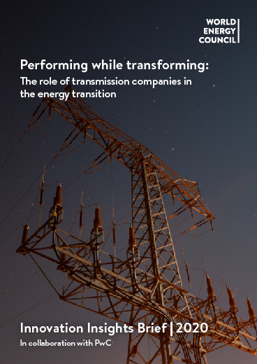 Lire la suite à propos de l’article Performing while transforming: The role of transmission companies in the energy transition