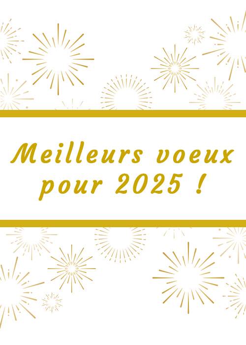 Lire la suite à propos de l’article Bonne année 2025 !