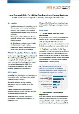 Lire la suite à propos de l’article World Energy Café: How Demand-Side Flexibility Can Transform Energy Systems