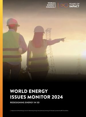 Couverture-World Energy Issues Monitor 2024